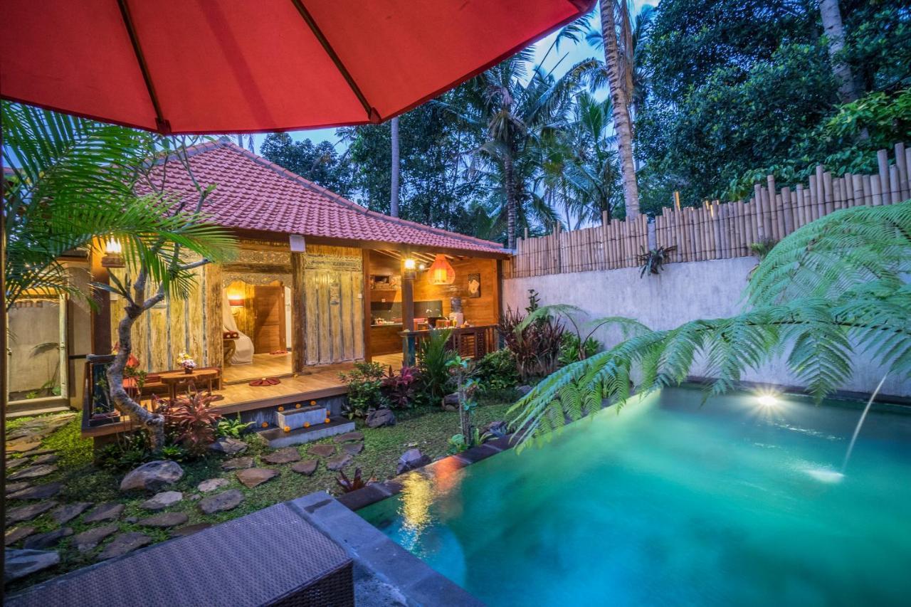 The Forest Villa Ubud Екстер'єр фото